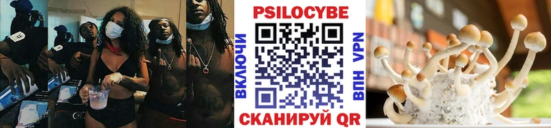 маркетплейс состав  Курск  Галлюциногенные грибы мицелий 