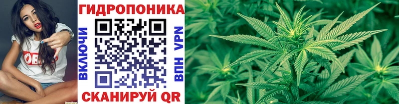 купить закладку  Курск  Канабис сатива 